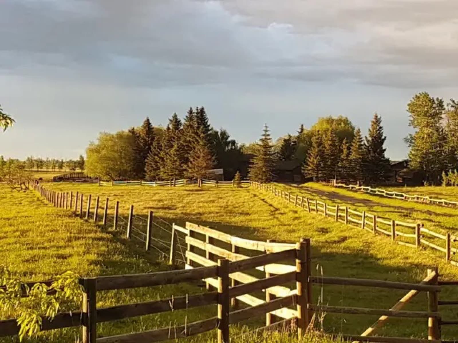 Acreage setting prepared for outdoor construction